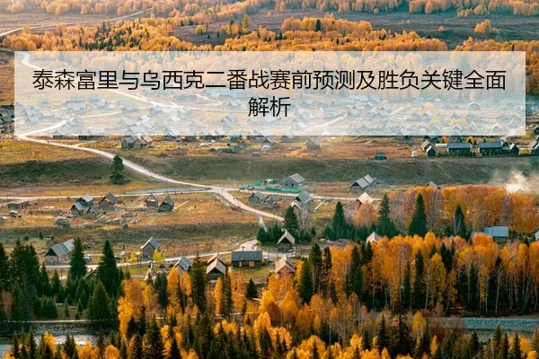 泰森富里与乌西克二番战赛前预测及胜负关键全面解析